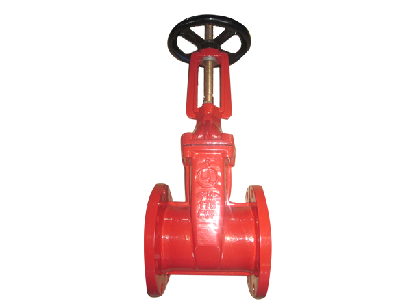 RS resilient seated gate valve